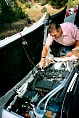bam3_2002_paul051.jpg