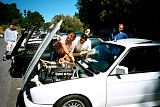 bam3_2002_paul054.jpg