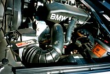bam3_2002_paul060.jpg