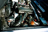 bam3_2002_paul066.jpg