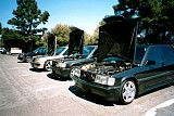 bam3_2002_paul104.jpg
