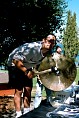 bam3_2002_paul155.jpg
