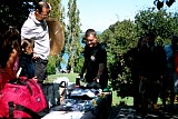 bam3_2002_paul167.jpg