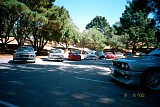 bam3_2002_paul181.jpg