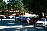 bam3_2002_paul184.jpg