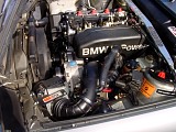 bam3_0203.jpg