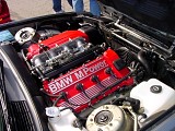 bam3_0204.jpg