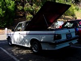 bam3_0207.jpg