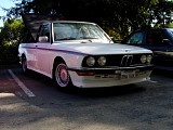 bam3_0208.jpg