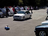 bam3_0212.jpg