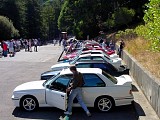bam3_0213.jpg