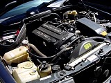 bam3_0218.jpg