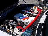 bam3_0229.jpg