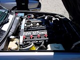 bam3_0234.jpg