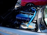 bam3_0236.jpg