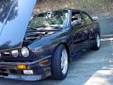 bam3_0237.jpg