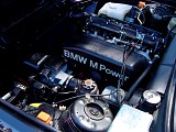 bam3_0239.jpg