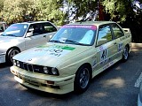 bam3_0246.jpg
