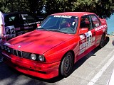 bam3_0247.jpg
