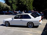 bam3_0249.jpg