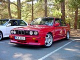 bam3_0257.jpg