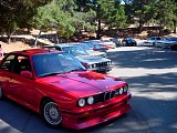 bam3_0261.jpg