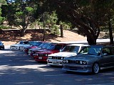 bam3_0262.jpg