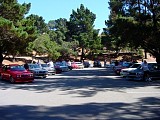 bam3_0263.jpg