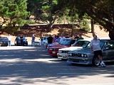 bam3_0265.jpg