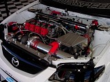 ls92202_001.jpg