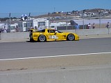ls92202_060.jpg