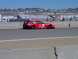 ls92202_061.jpg